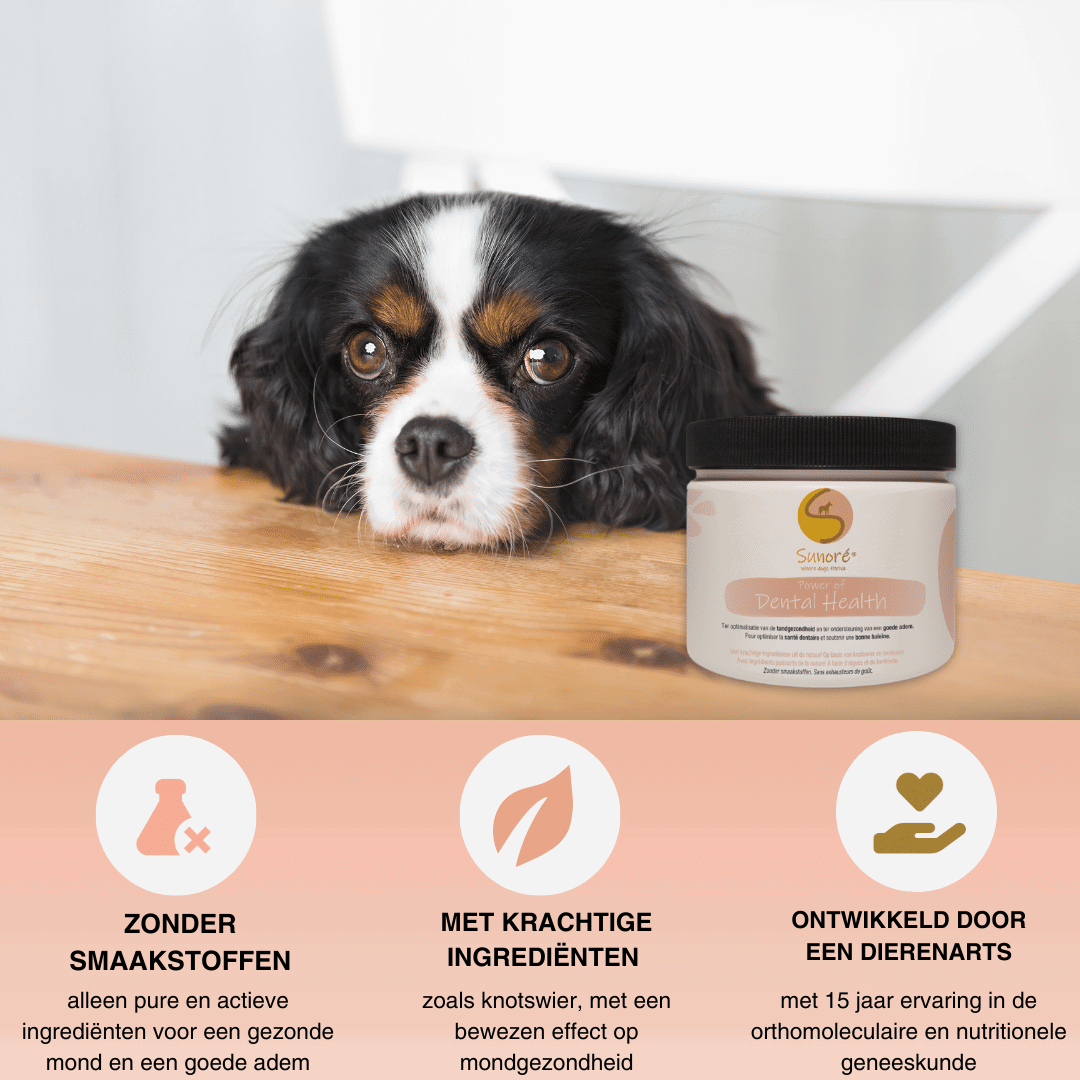 Power of Dental Health - krachtig tandpoeder voor honden - Image 2