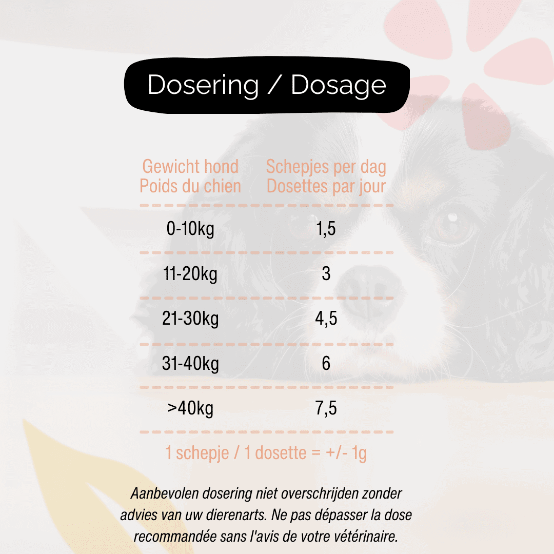 Power of Dental Health - krachtig tandpoeder voor honden - Image 5