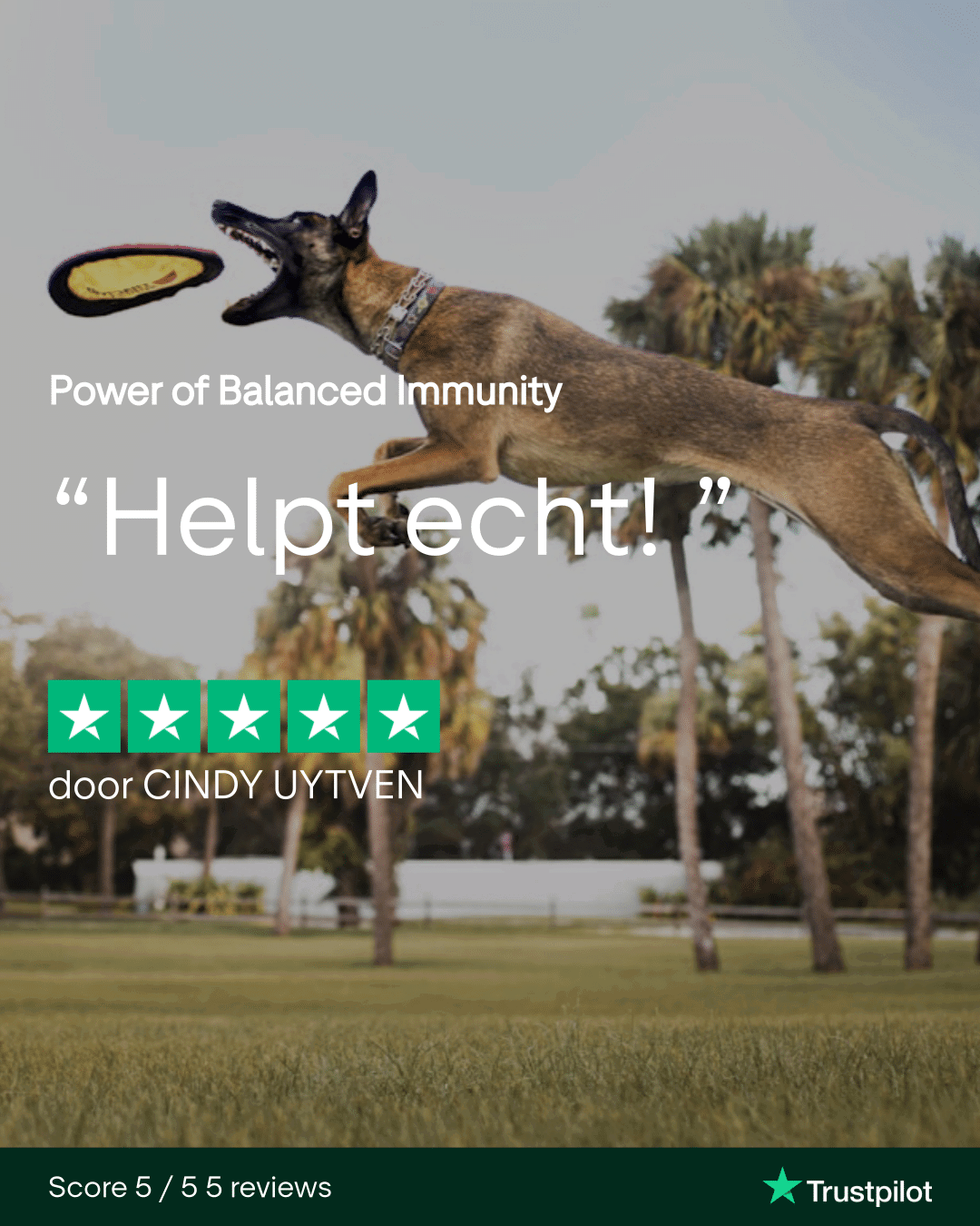 Power of Balanced Immunity - op basis van Krill - hoog in Omega 3 - Image 4