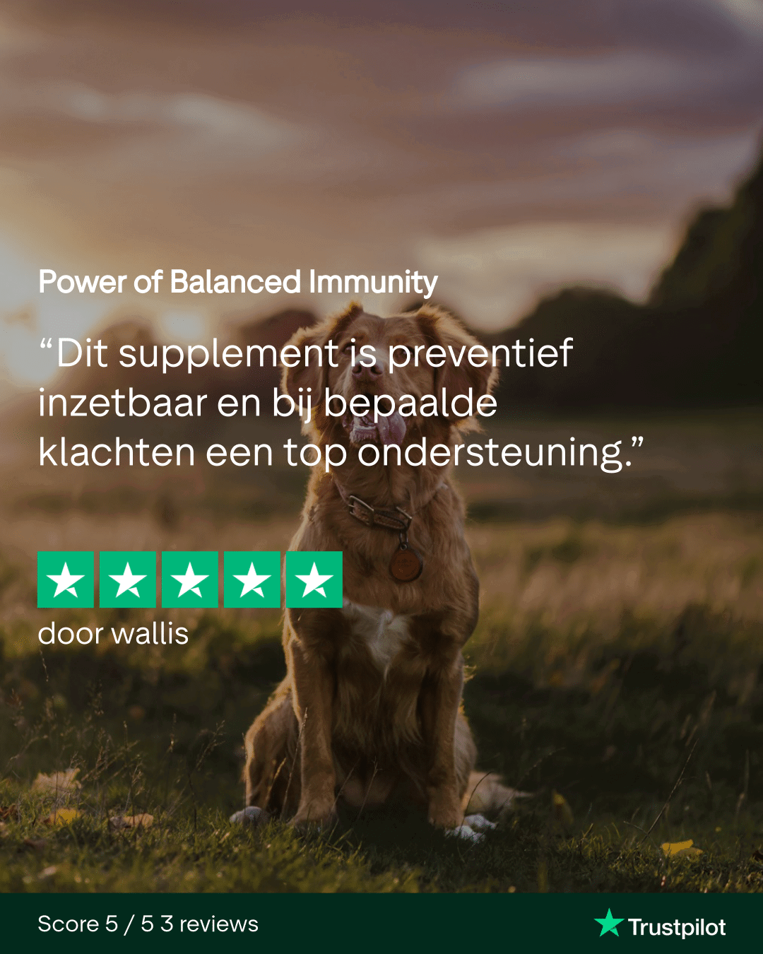 Power of Balanced Immunity - op basis van Krill - hoog in Omega 3 - Image 3