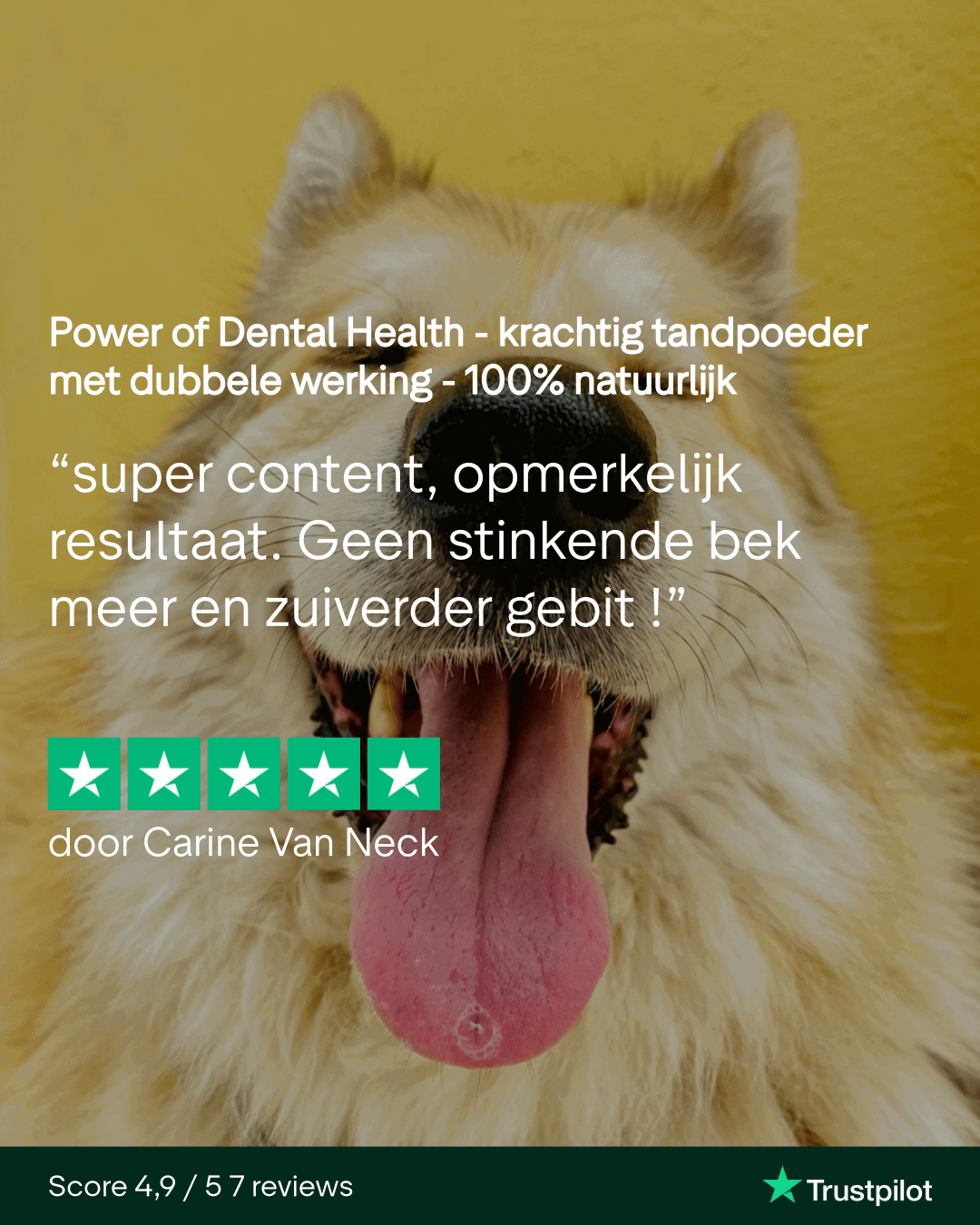 Power of Dental Health - krachtig tandpoeder voor honden - Image 8