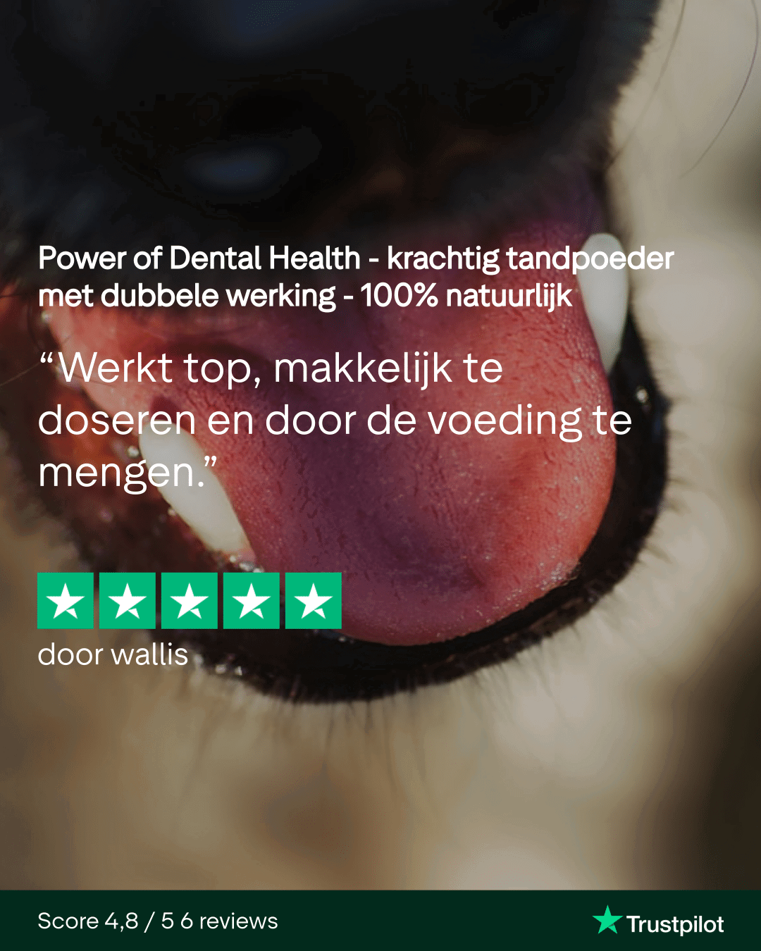 Power of Dental Health - krachtig tandpoeder voor honden - Image 6