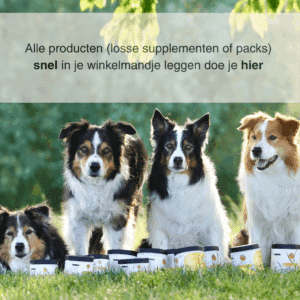 Snel alle producten in je winkelmandje zetten? Dan moet je hier zijn